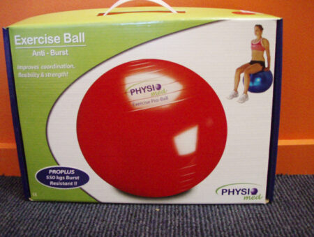 gold_coast_physio_exerciseball